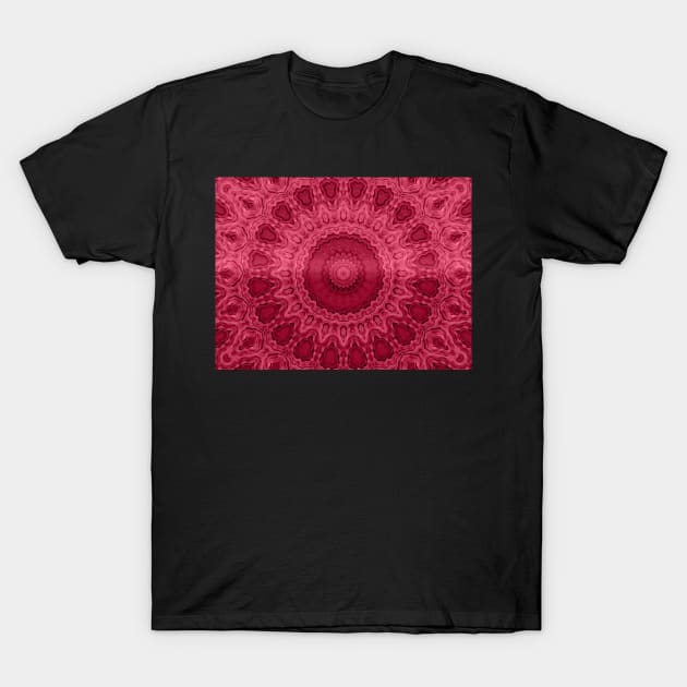 Mandala - Viva Magenta T-Shirt by wagnerps